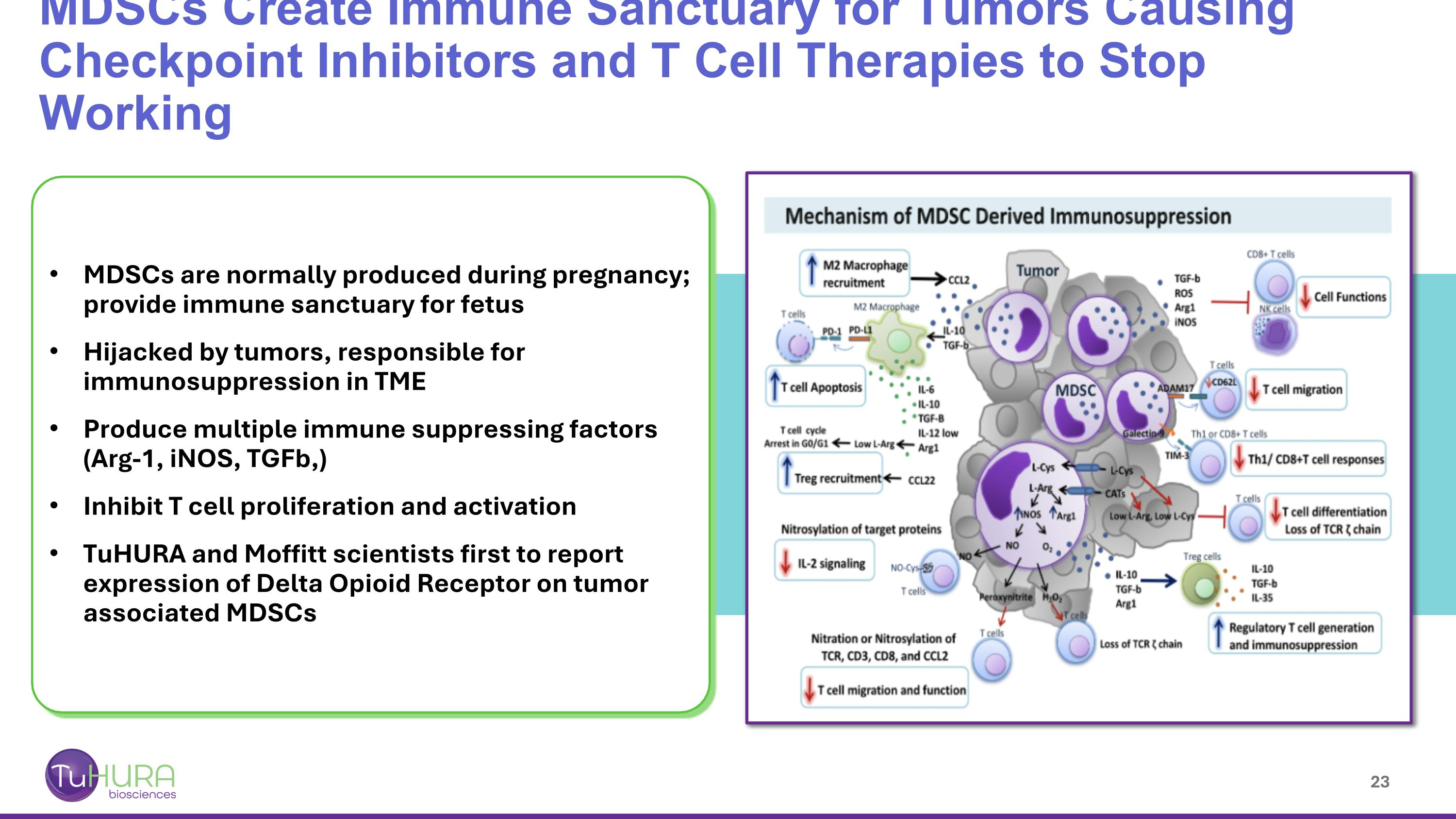Slide 23