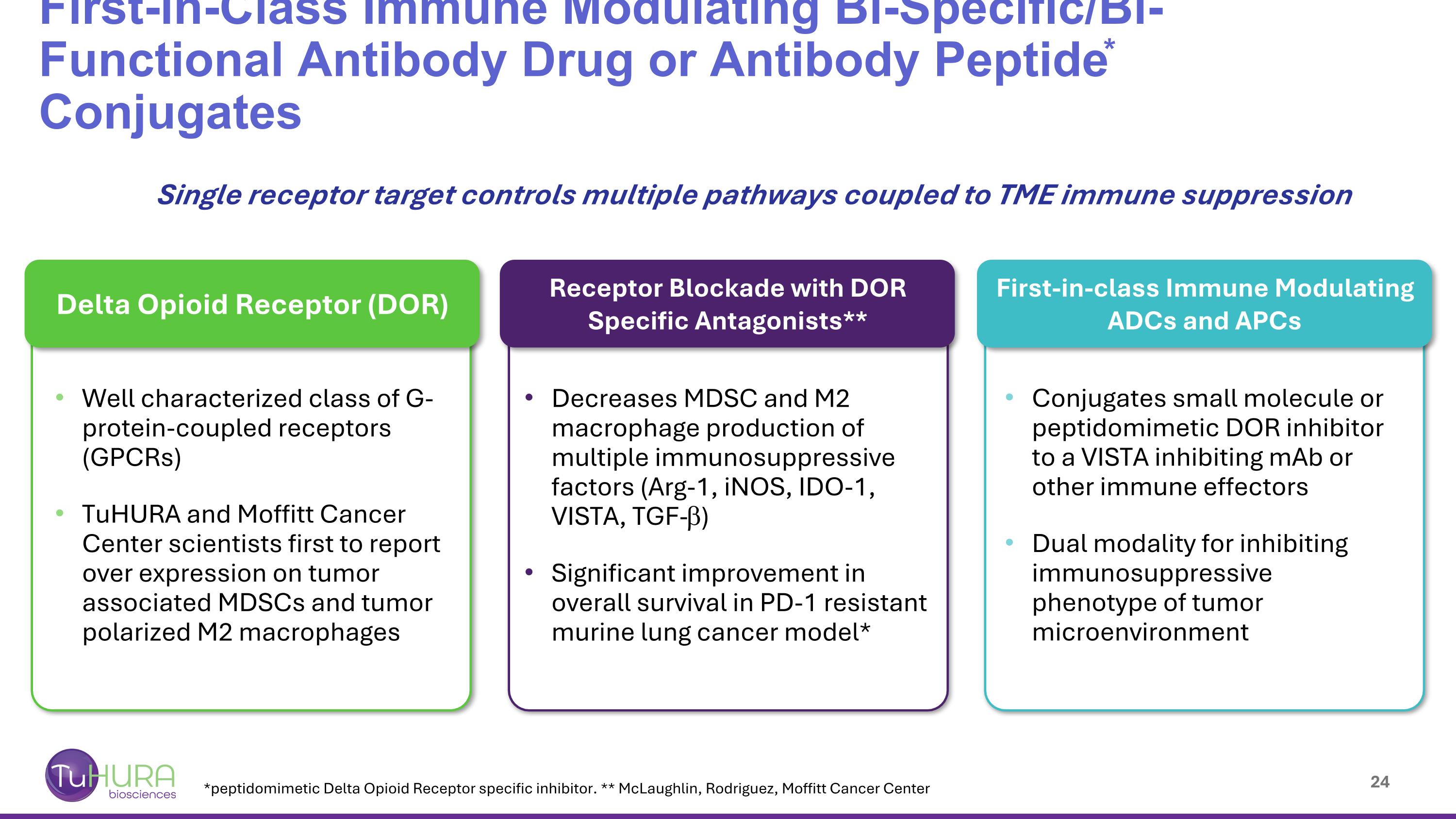 Slide 24